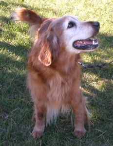 Robert John (Robbie)